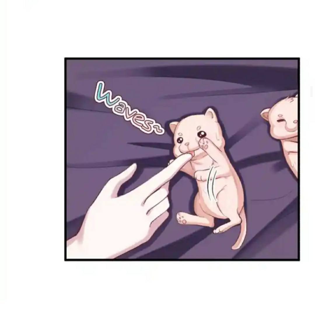 Beauty and the Beasts Chapter 206 Gambar 22